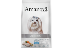 Adult Mini White Hair Special