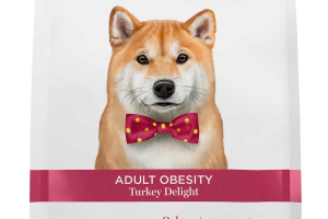 Adult obesity - Turkey Delight