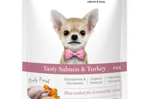 Tasty Salmon & Turkey